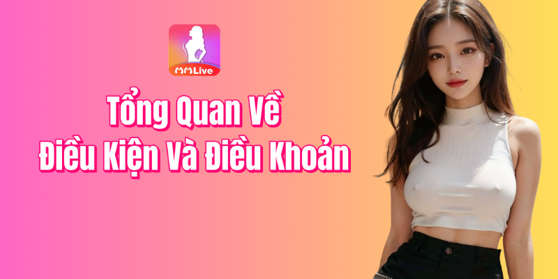 Tổng Quan Về Điều Kiện Và Điều Khoản